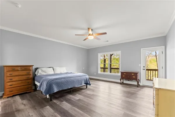 a view of a lush green space