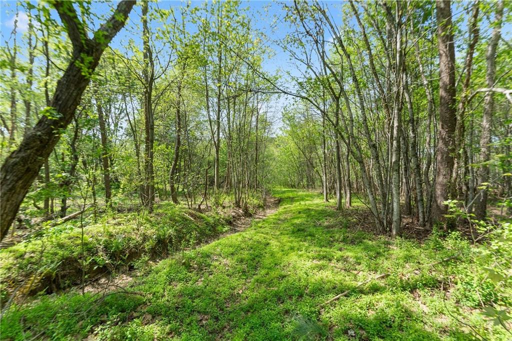 319 River Valley Road Dawsonville, GA 30534 - Photo 57 of 87