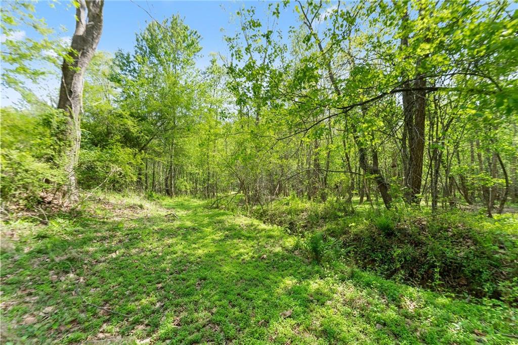 319 River Valley Road Dawsonville, GA 30534 - Photo 58 of 87