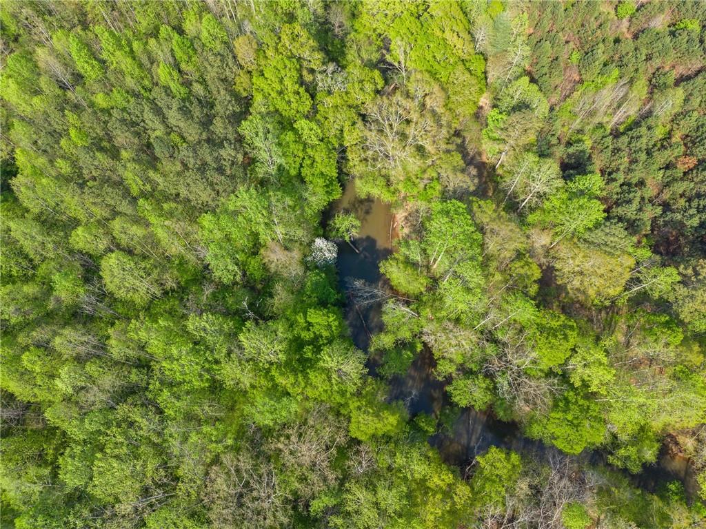 319 River Valley Road Dawsonville, GA 30534 - Photo 63 of 87