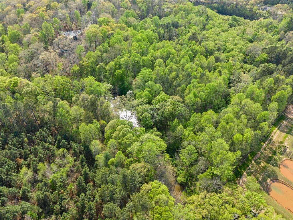 319 River Valley Road Dawsonville, GA 30534 - Photo 64 of 87