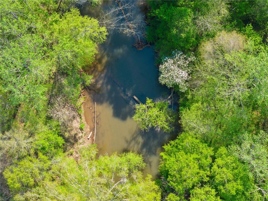 319 River Valley Road Dawsonville, GA 30534 - Photo 67 of 87