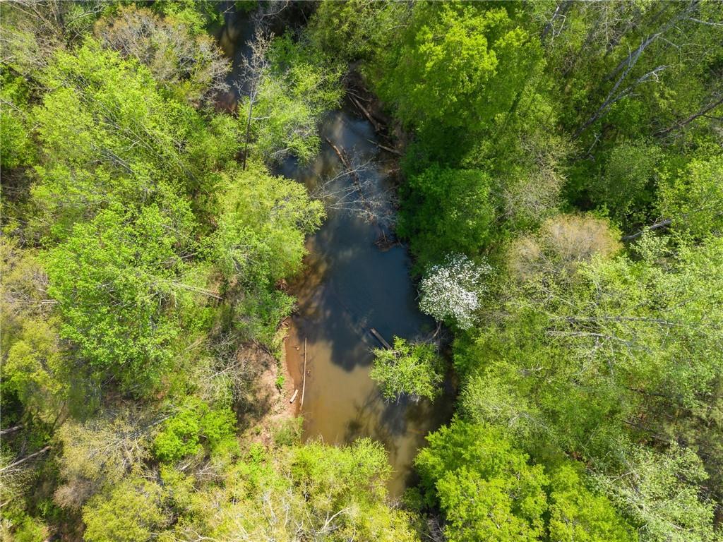 319 River Valley Road Dawsonville, GA 30534 - Photo 71 of 87