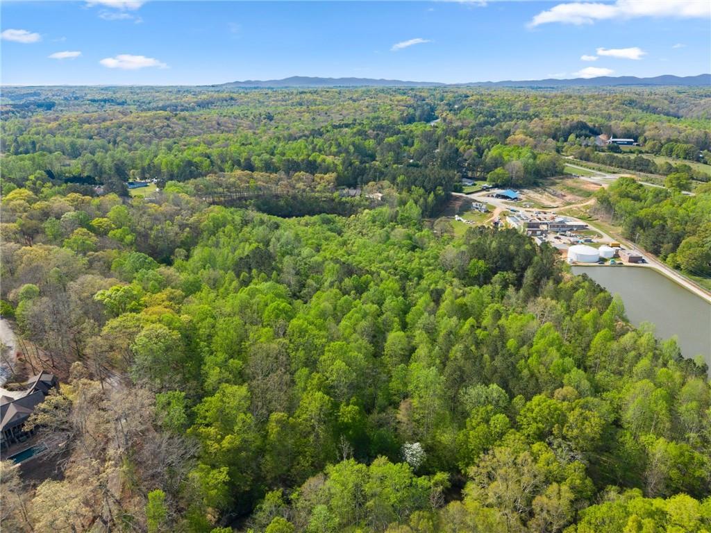 319 River Valley Road Dawsonville, GA 30534 - Photo 72 of 87