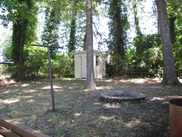 a view of a tree in the forest