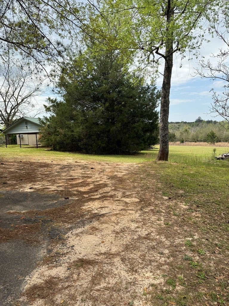 2235 Long Branch Road Toomsboro, GA 31090 - Photo 19 of 39 Gallery Image 19