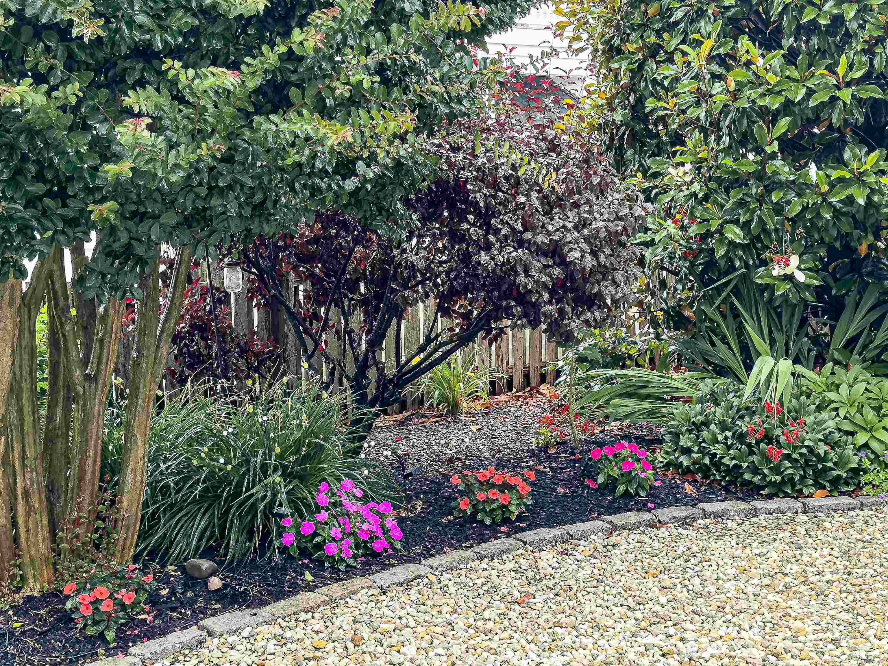 273 60th Street Avalon, NJ 08202 - Photo 28 of 33 a view of a flowers in front of flowers