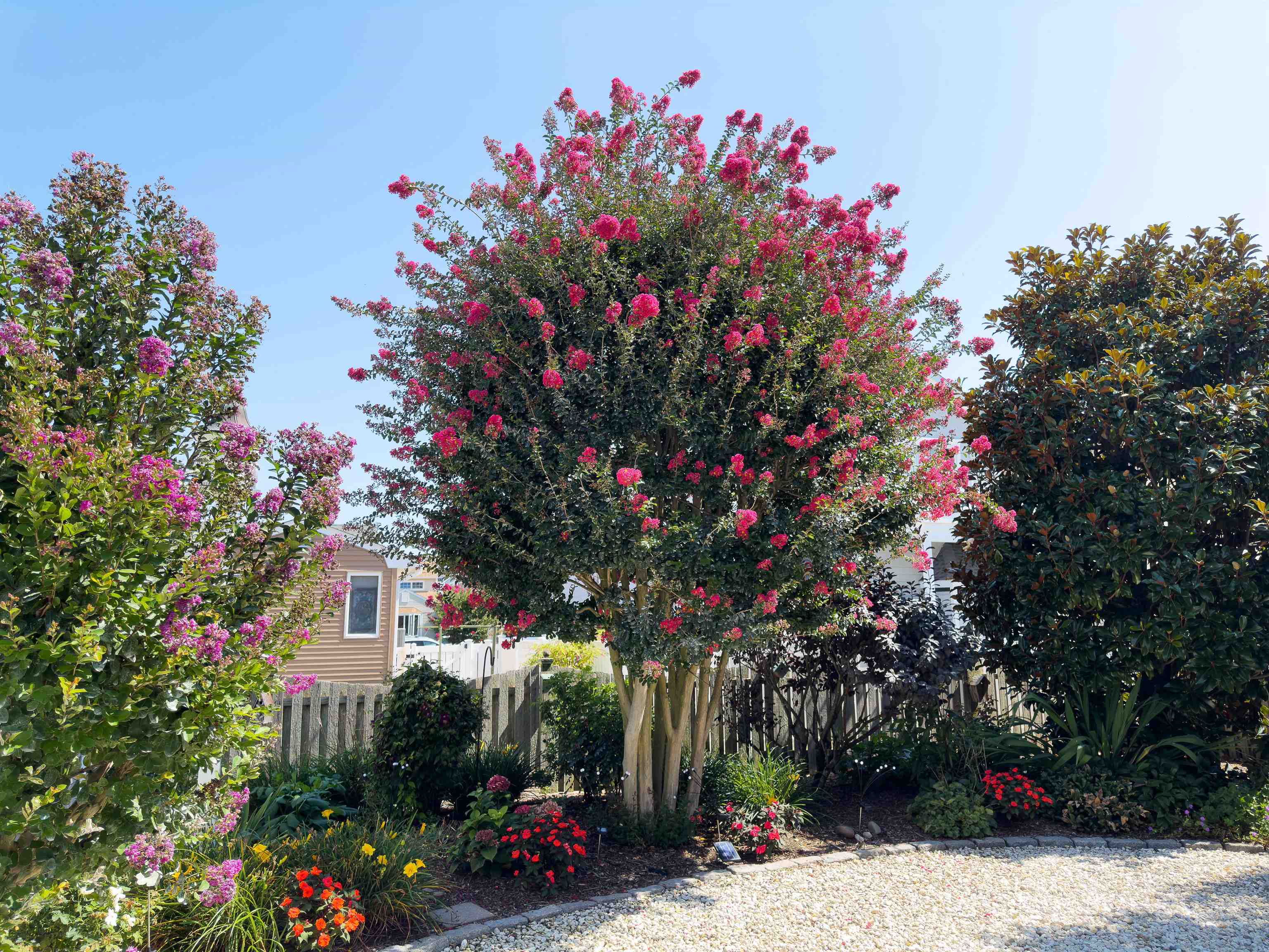 273 60th Street Avalon, NJ 08202 - Photo 29 of 33 a flower plants sitting in front of a house
