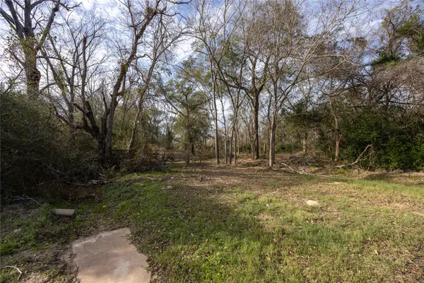a view of outdoor space and yard