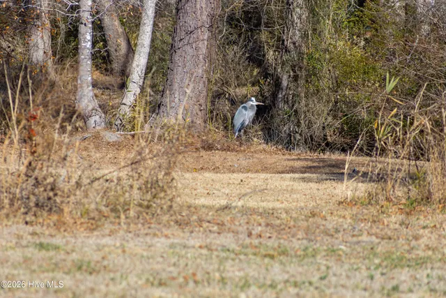 $50,000 | 325 Winterberry Court, Washington, NC 27889