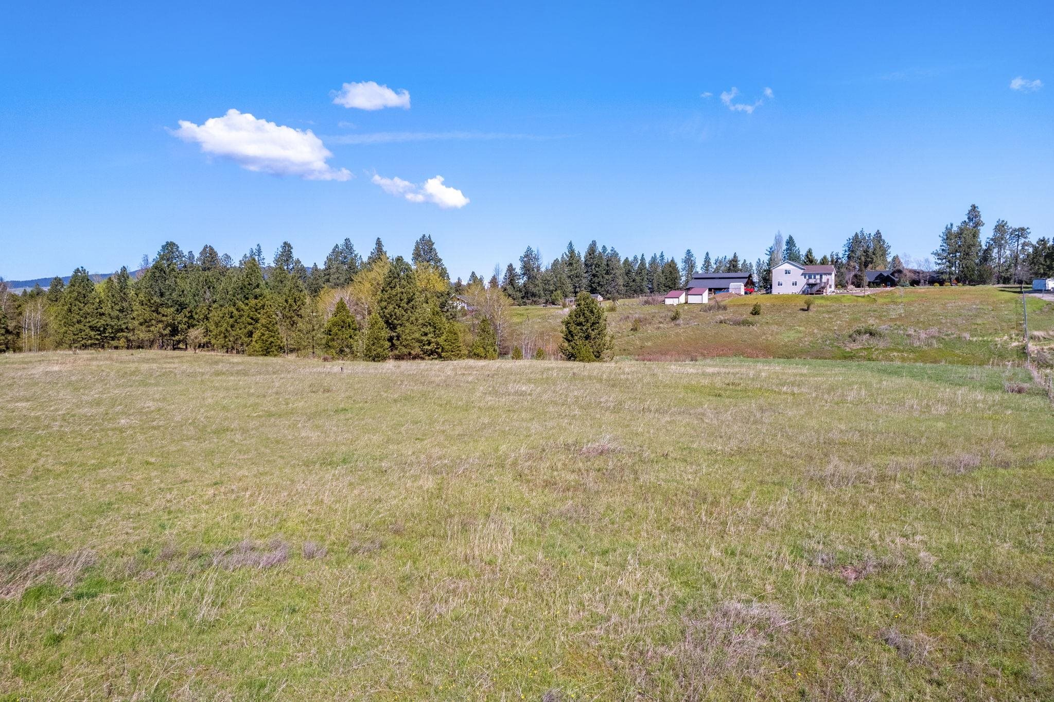 14428 East Meadows Road Mica, WA 99023 - Photo 38 of 45