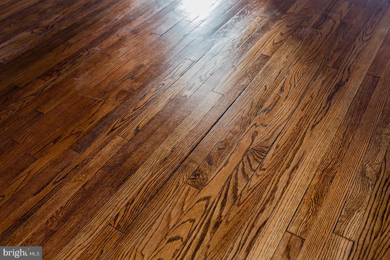 319 Rider Avenue Lancaster, PA 17603 - Photo 57 of 58 Refinished Hardwood Floorsl