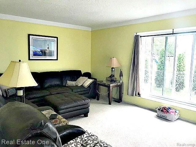27280 Arsenal Road Flat Rock, MI 48134 - Photo 8 of 43 LR6.jpg