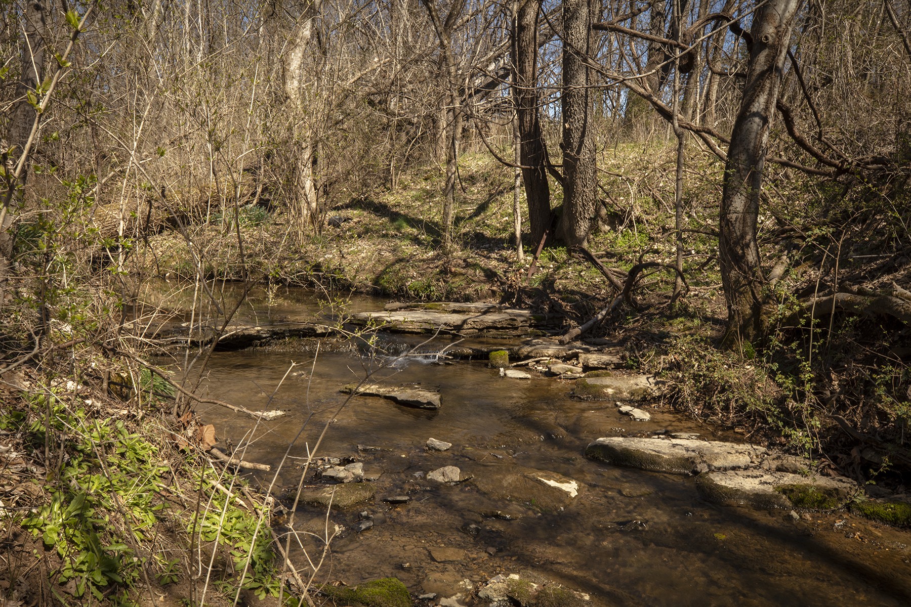 1018 Tulloss Road Franklin, TN 37067 - Photo 29 of 37 Gallery Image 29