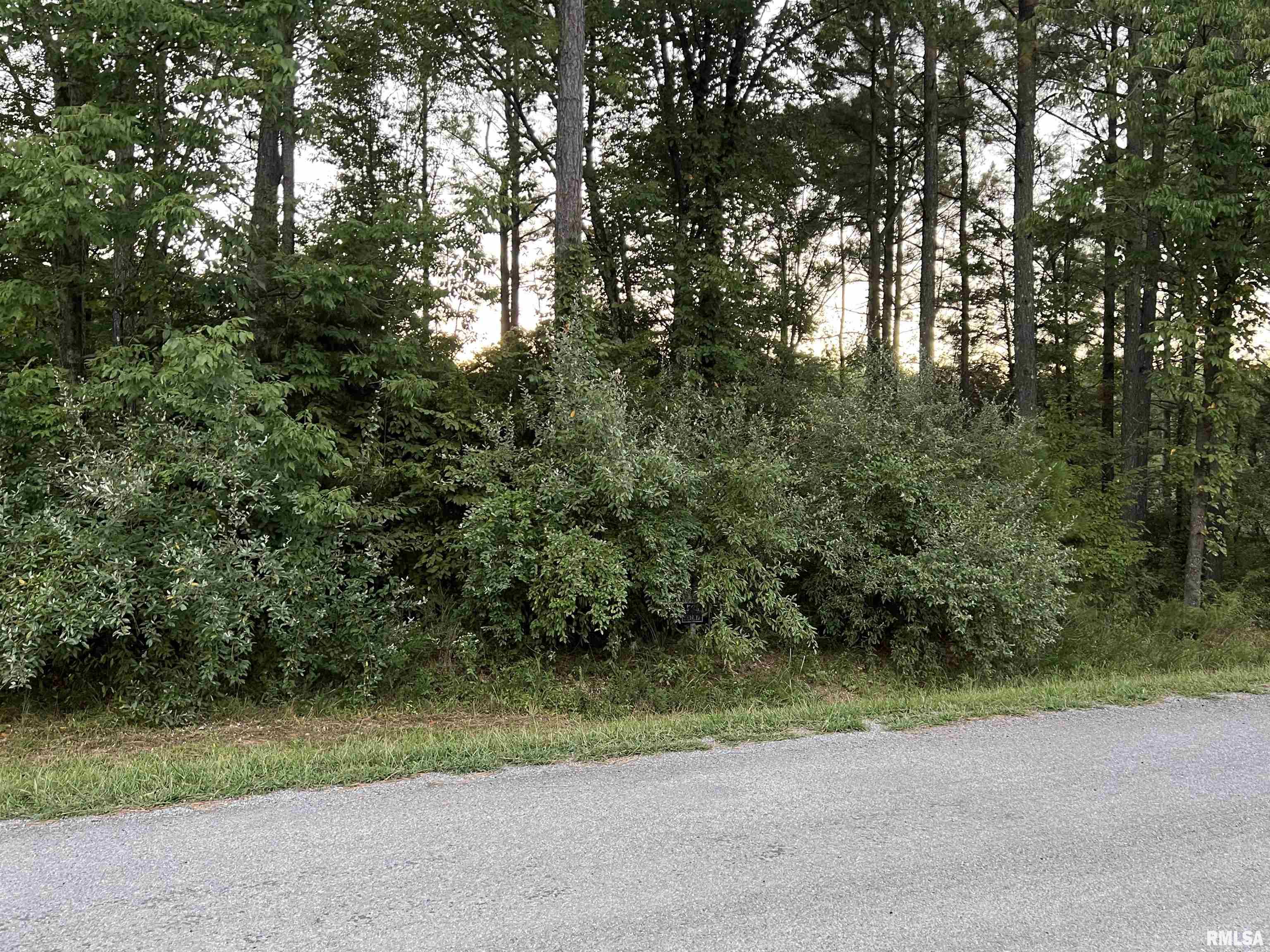 Lot 504 Parrish Ridge Goreville, IL 62939 - Photo 11 of 14