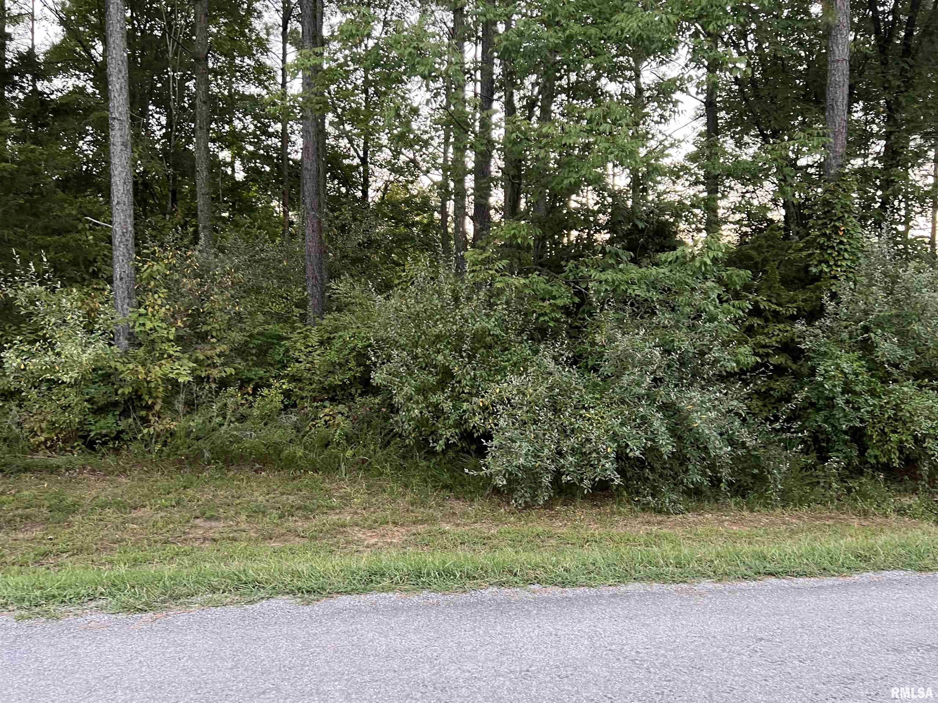 Lot 504 Parrish Ridge Goreville, IL 62939 - Photo 12 of 14