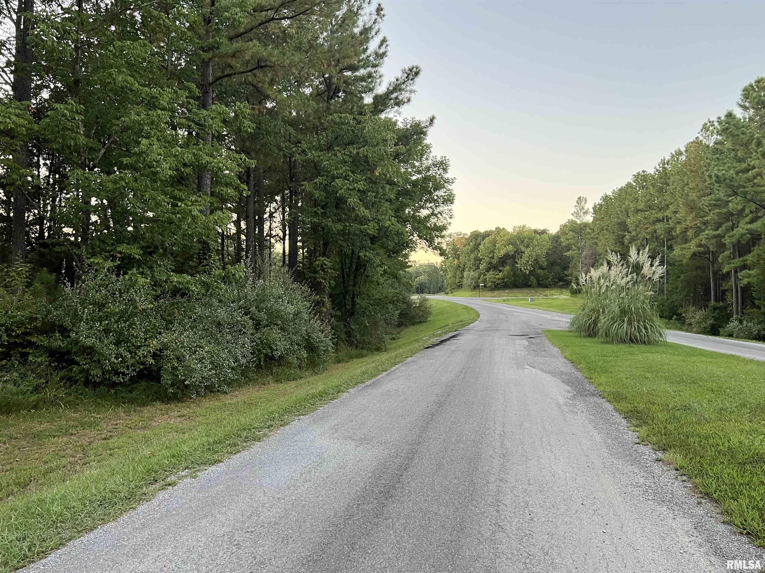 Lot 504 Parrish Ridge Goreville, IL 62939 - Photo 13 of 14