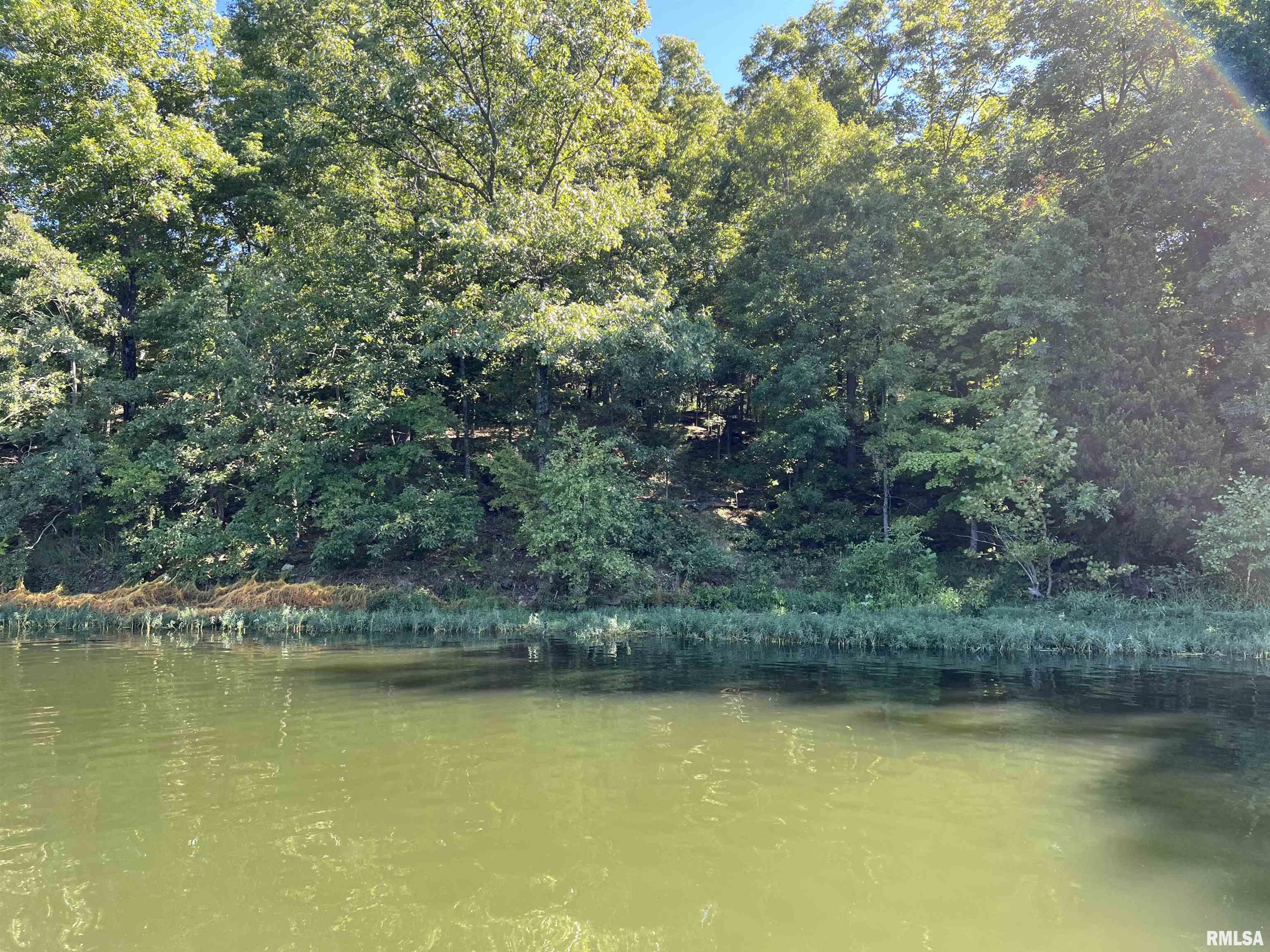 Lot 504 Parrish Ridge Goreville, IL 62939 - Photo 3 of 14