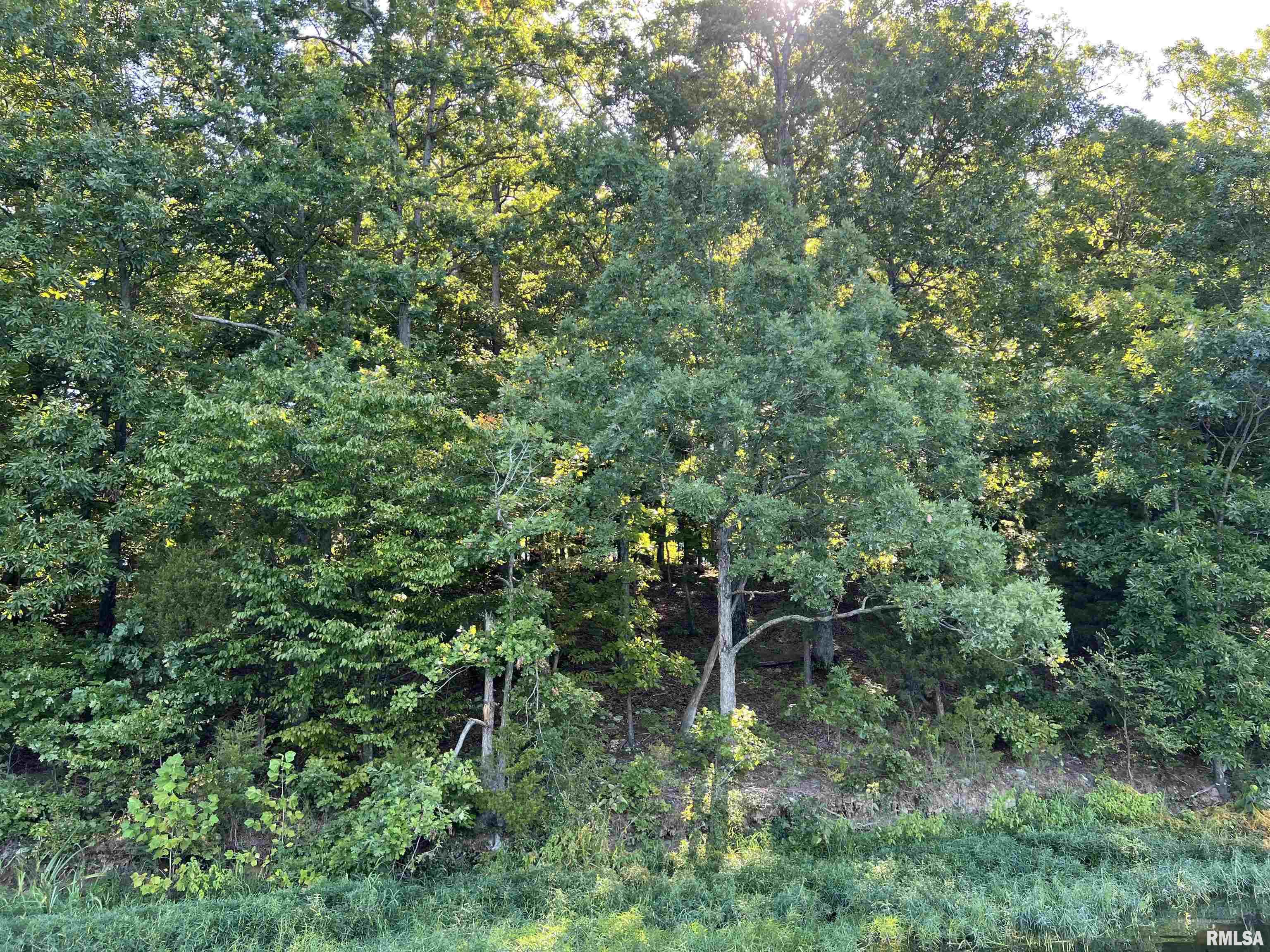 Lot 504 Parrish Ridge Goreville, IL 62939 - Photo 7 of 14