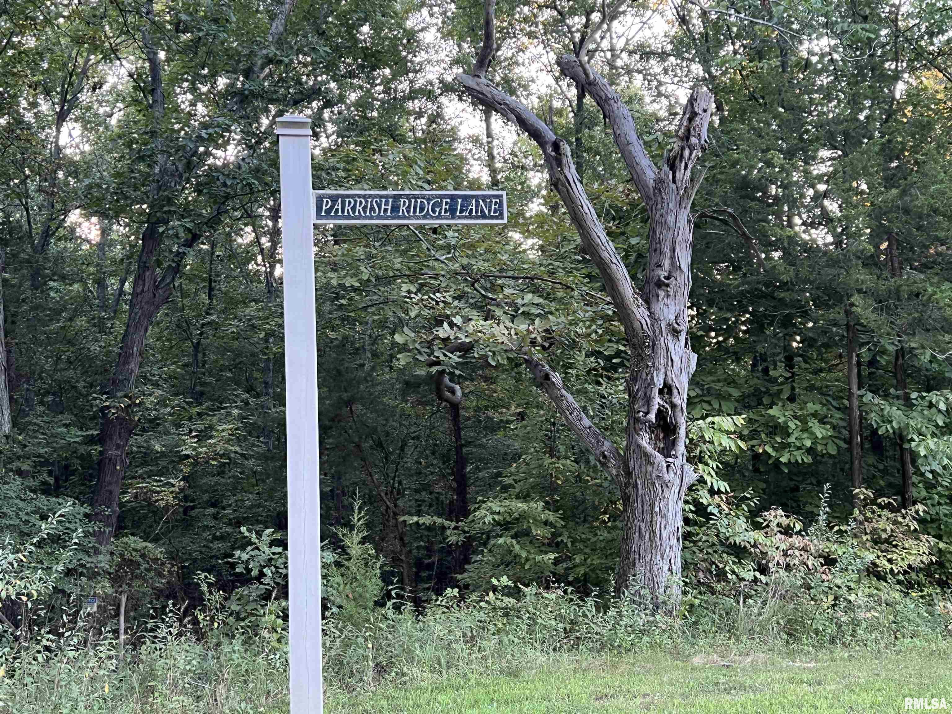 Lot 504 Parrish Ridge Goreville, IL 62939 - Photo 9 of 14