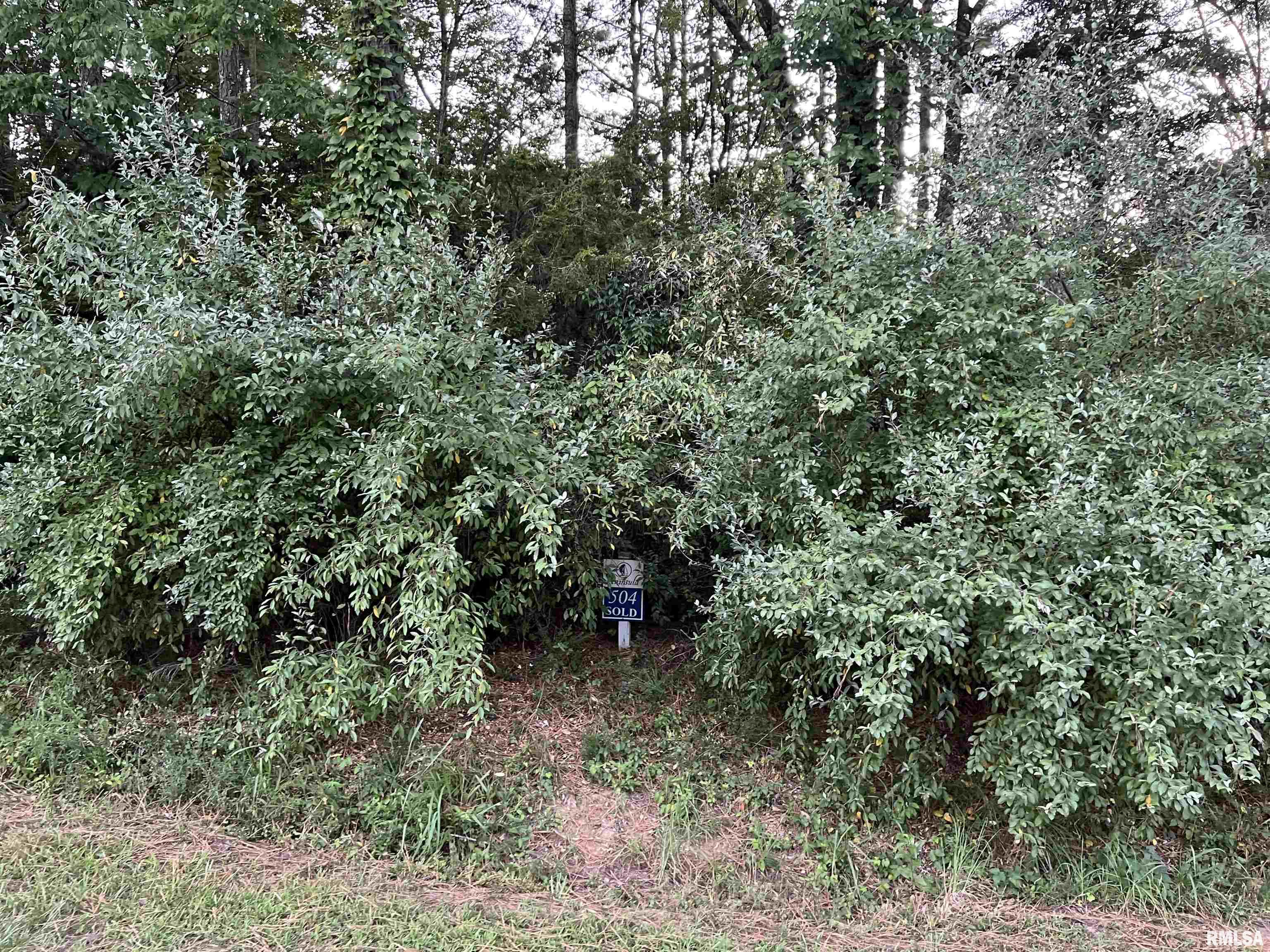 Lot 504 Parrish Ridge Goreville, IL 62939 - Photo 10 of 14