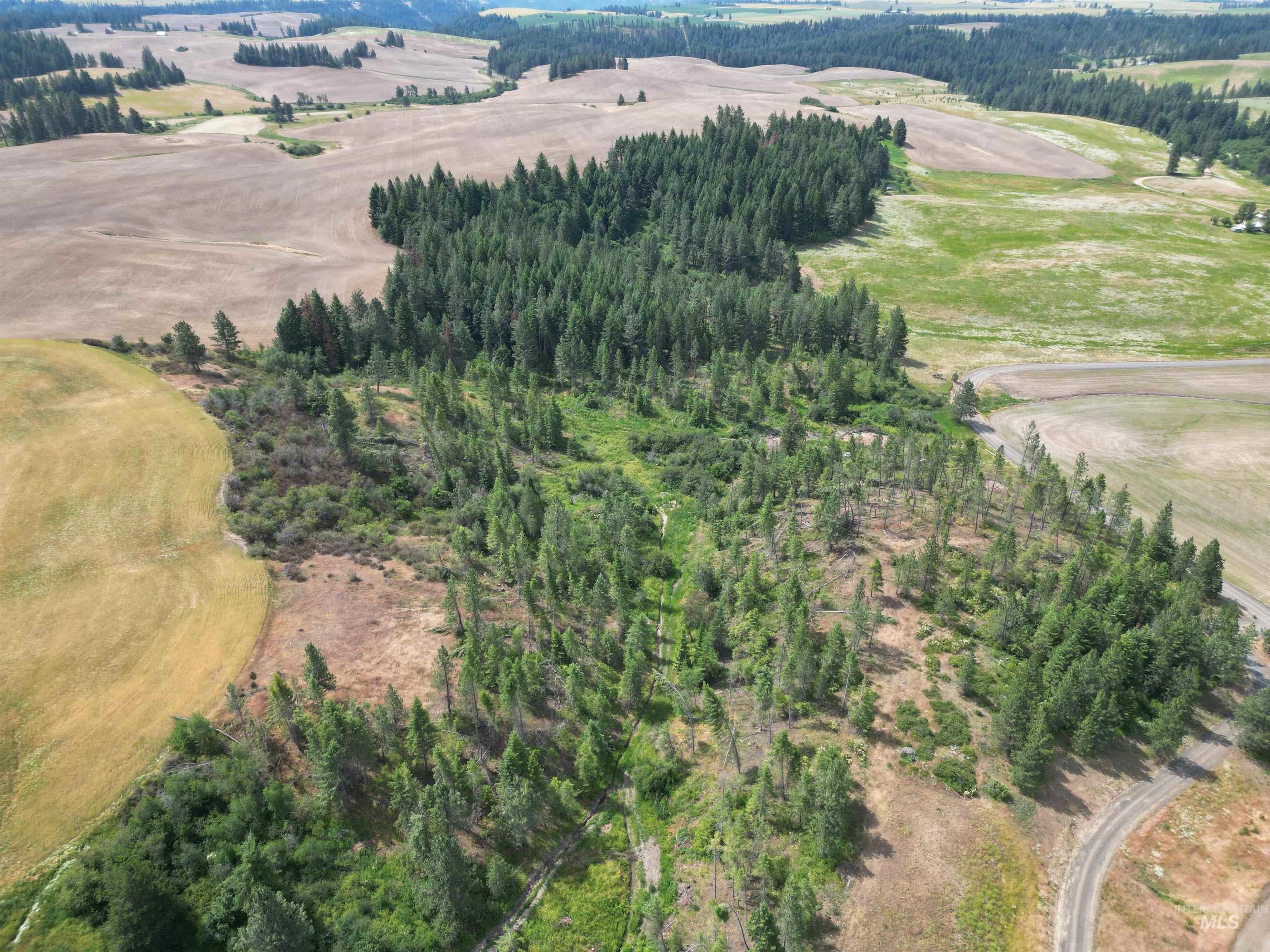 1044 Clemenhagen Road Kendrick, ID 83537 - Photo 42 of 49