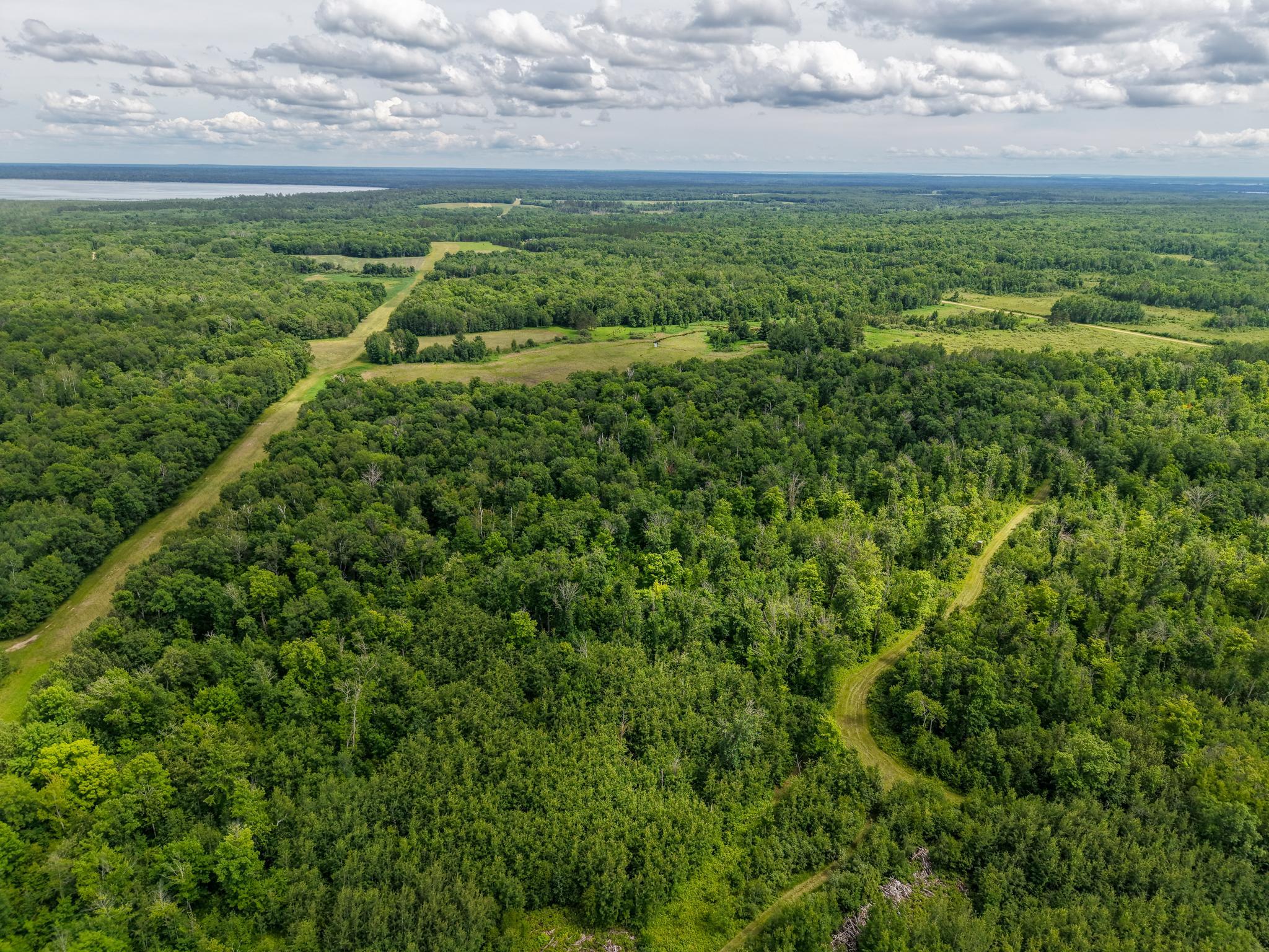 80-acres Pike Bay Loop Road Northwest Cass Lake, MN 56633 - Photo 17 of 27