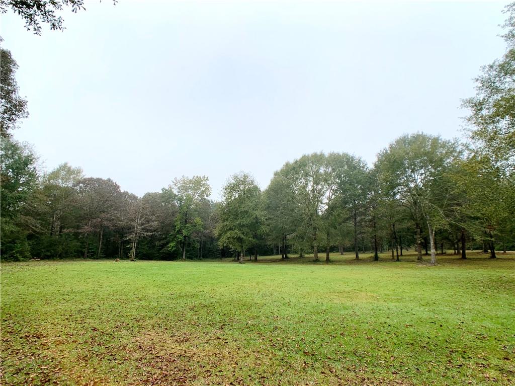 84340 North Factory Road Folsom, LA 70437 - Photo 26 of 33 Gallery Image 26