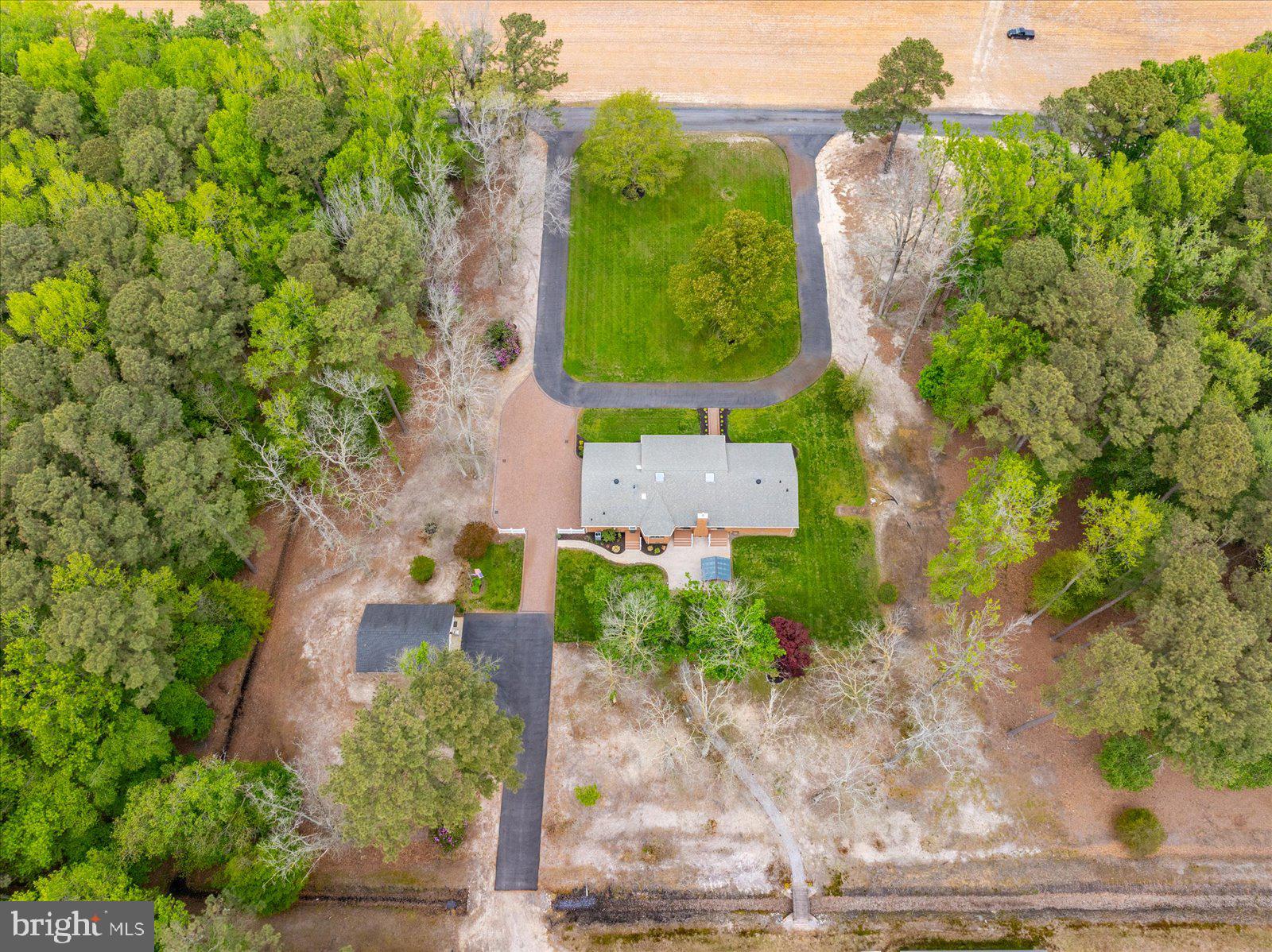 33915 Shockley Road Parsonsburg, MD 21849 - Photo 122 of 125 Serene retreat amidst lush greenery.