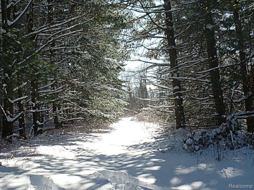 10345 South State Road Goodrich, MI 48438 - Photo 14 of 24 SAM_2252.jpg