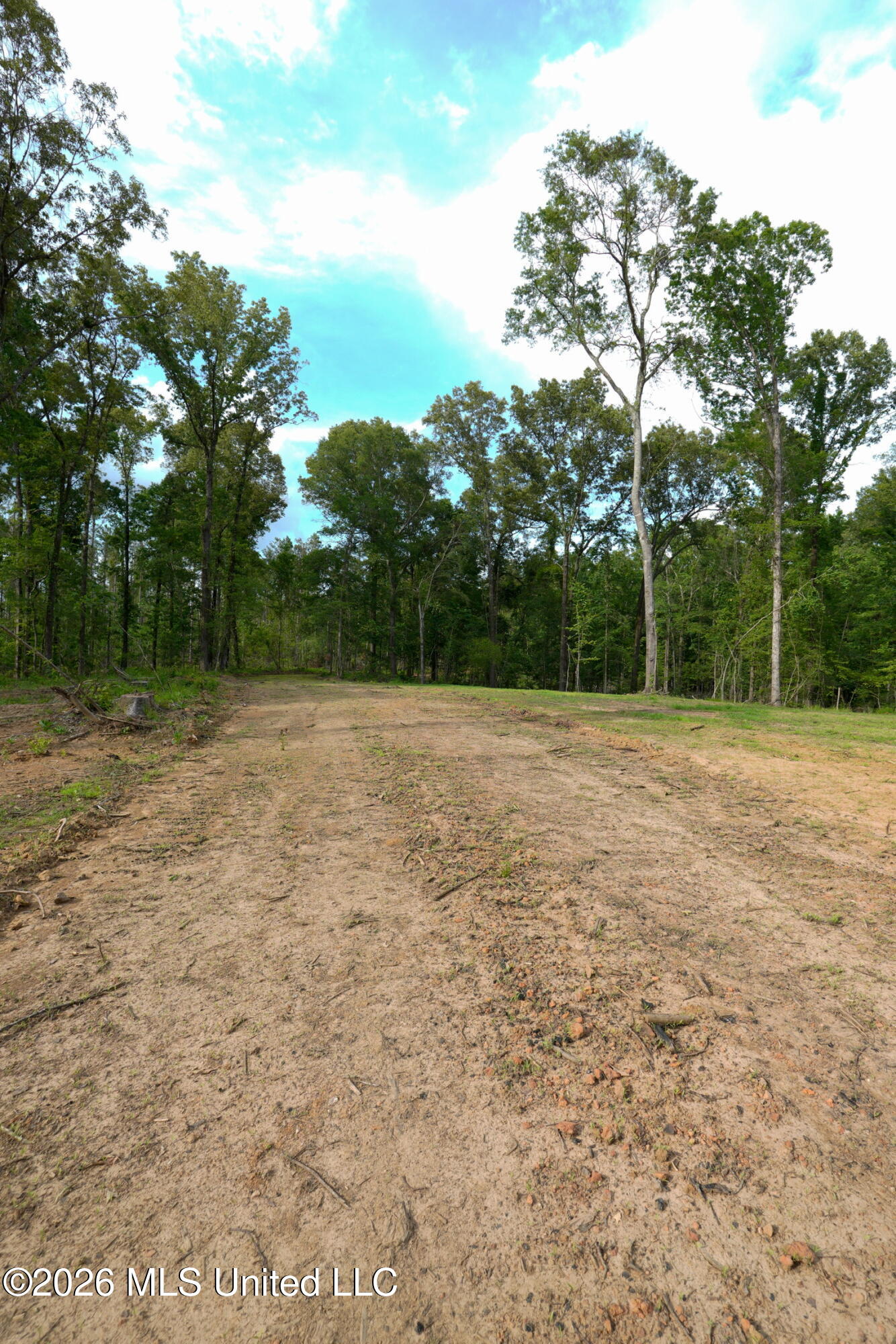 Lorance Road Clinton, MS 39056 - Photo 8 of 25 _DSC5510
