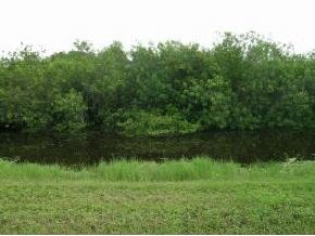 0 Judson Road Road Merritt Island, FL 32953 - Photo 2 of 2 Additional Photo