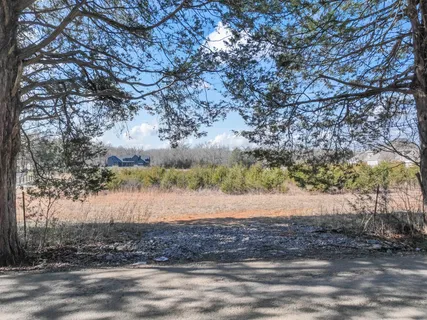 a view of a yard with plants and trees