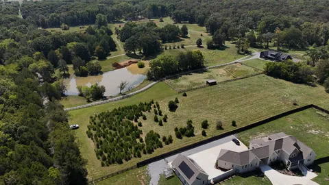 an aerial view of a yard