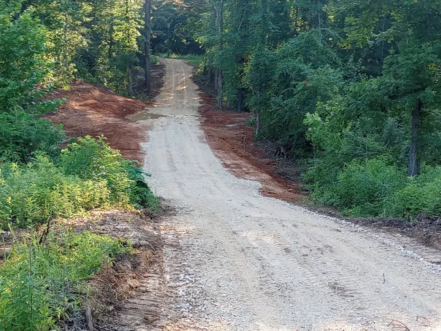 a view of a pathway with a garden