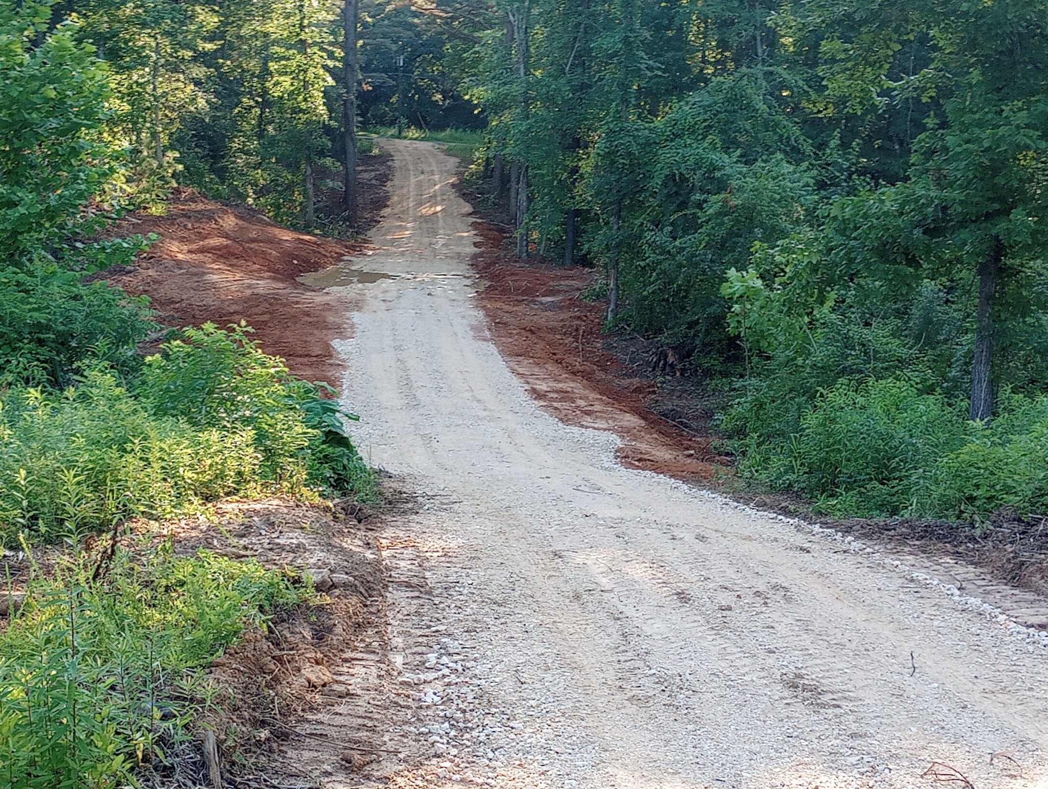a view of a pathway with a garden