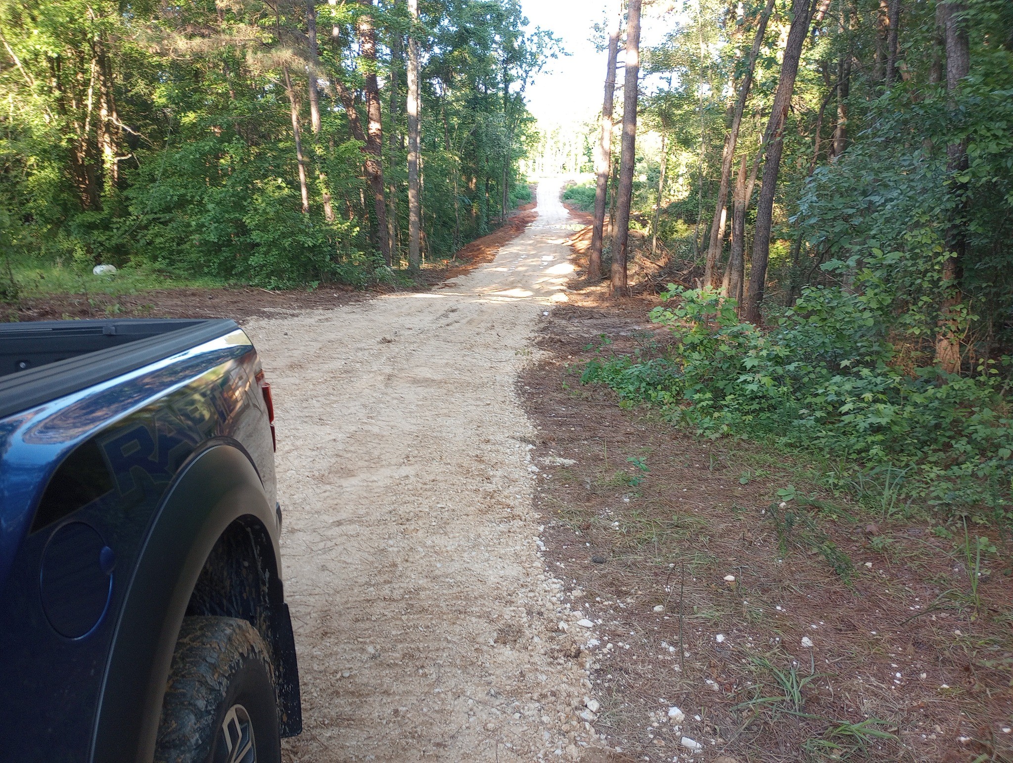 0 Travis Boyd Road Mansfield, TN 38236 - Photo 2 of 6 a view of outdoor space and deck