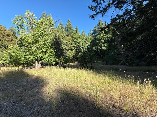 4149 Wilder Ridge Road Garberville, CA 95542 - Photo 22 of 23