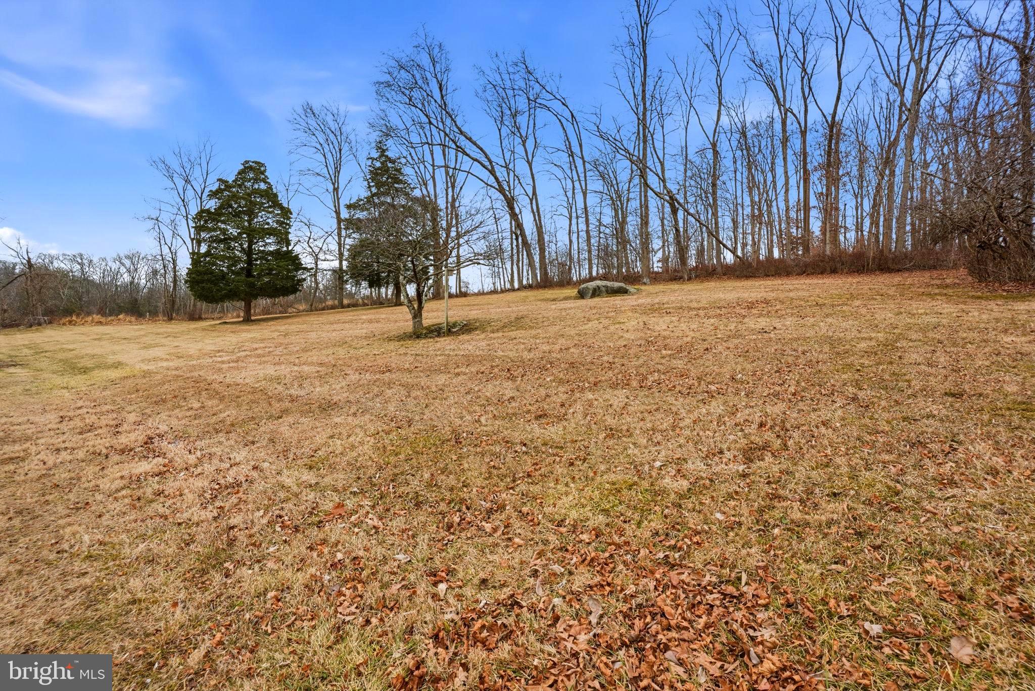 116 Green Street Green Lane, PA 18054 - Photo 29 of 38 a view of large trees with a yard
