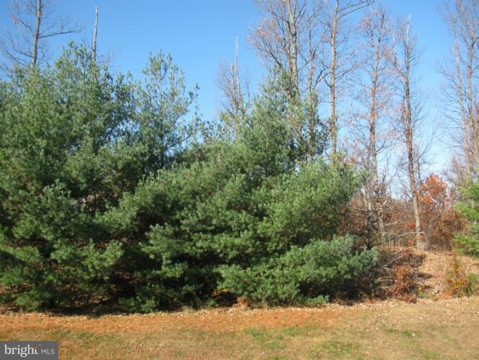 8390 Montgomery Run Road, Unit I Ellicott City, MD 21043 - Photo 12 of 12 View