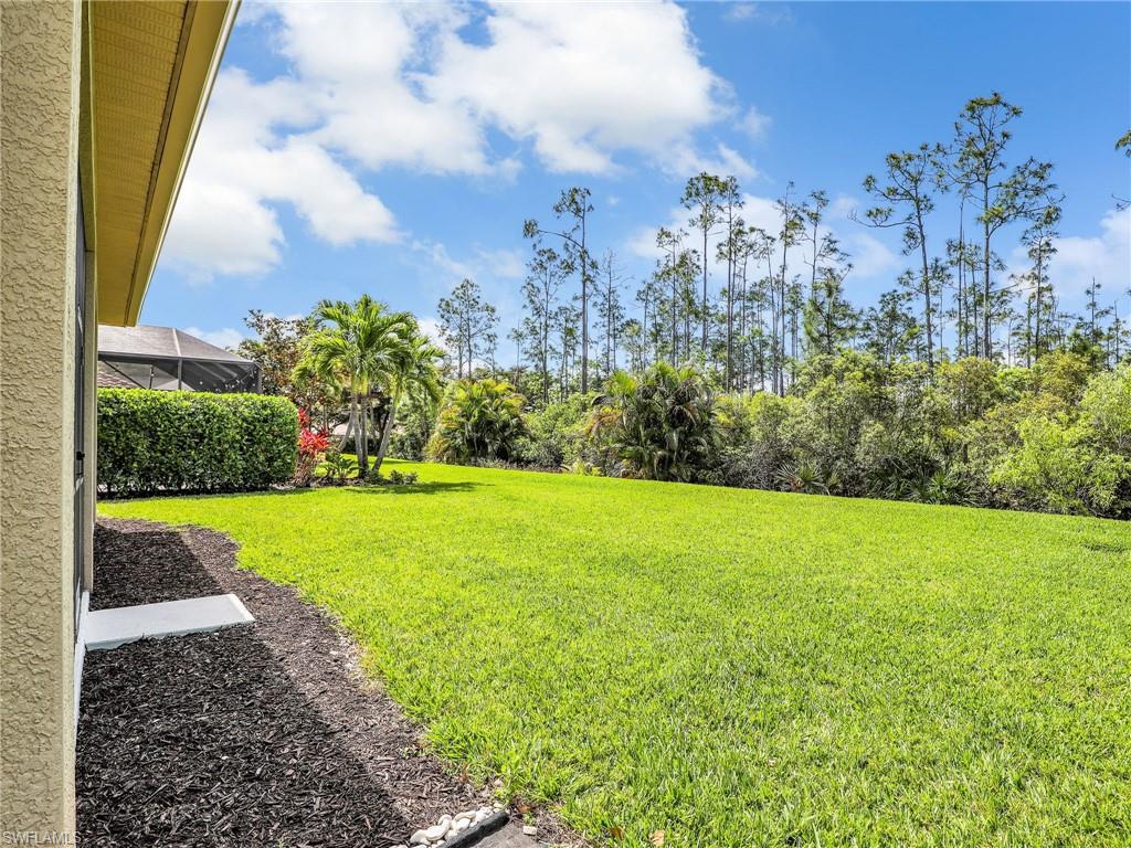 13508 Troia Drive Estero, FL 33928 - Photo 30 of 43