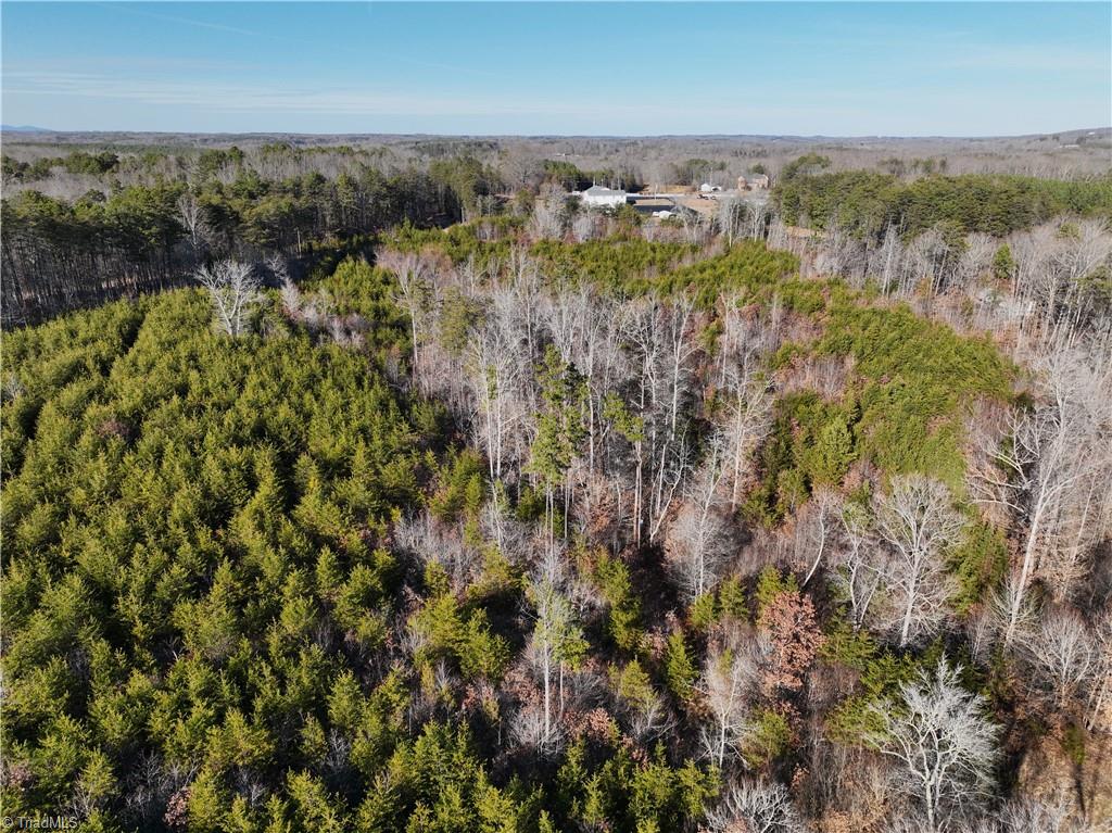 0 K Fork Road Madison, NC 27025 - Photo 11 of 11