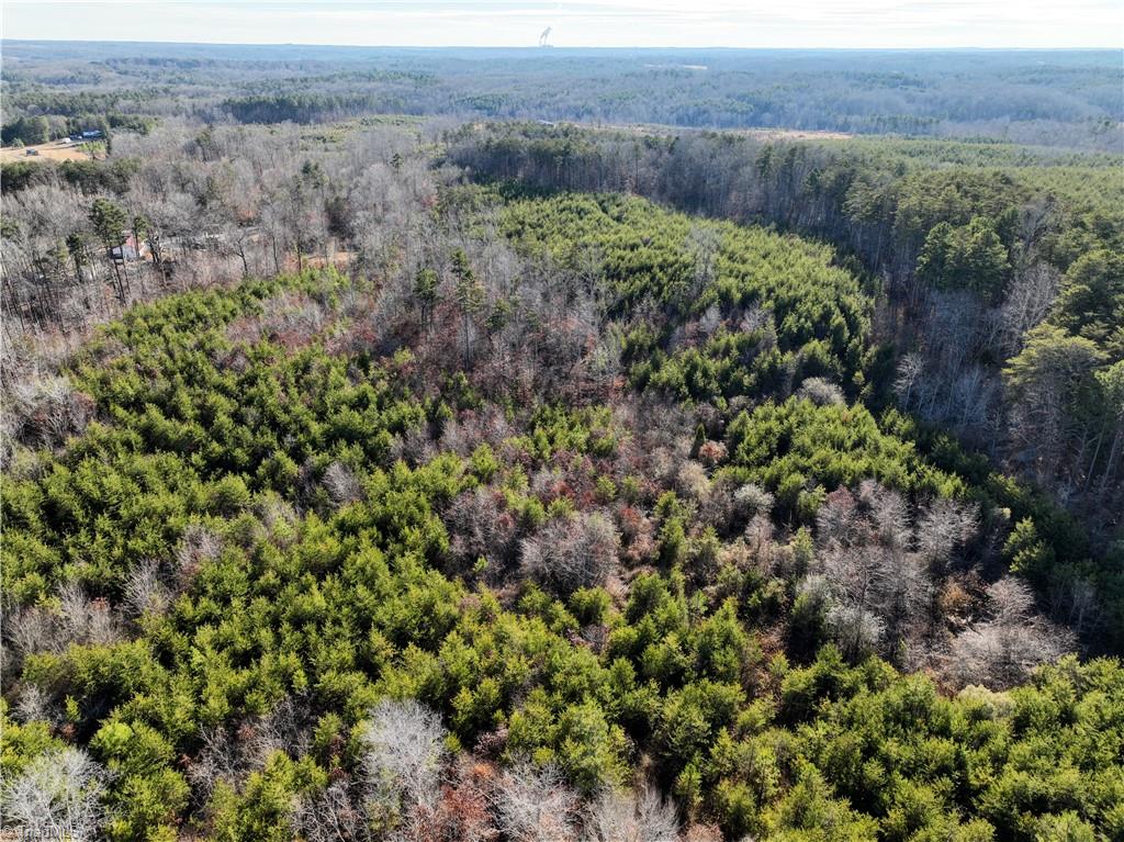 0 K Fork Road Madison, NC 27025 - Photo 4 of 11