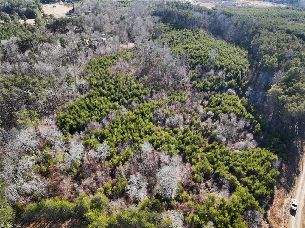 0 K Fork Road Madison, NC 27025 - Photo 5 of 11