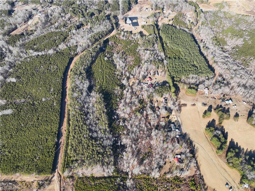 0 K Fork Road Madison, NC 27025 - Photo 8 of 11