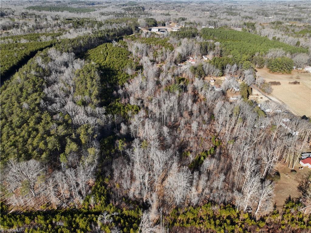 0 K Fork Road Madison, NC 27025 - Photo 10 of 11