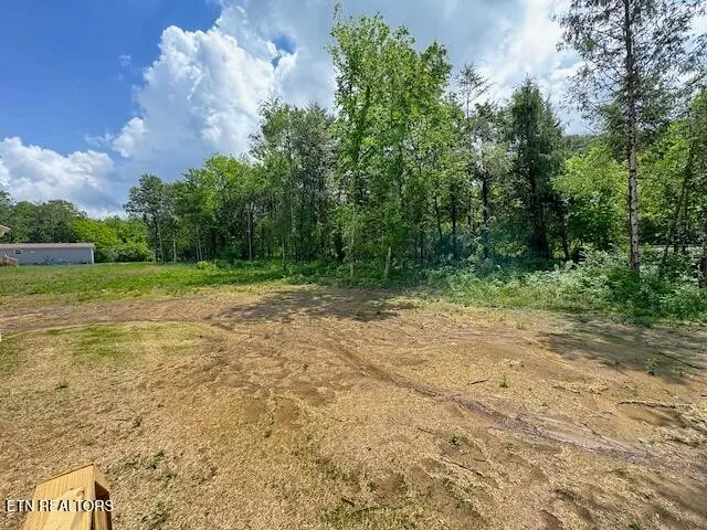 a view of a field with trees in the background