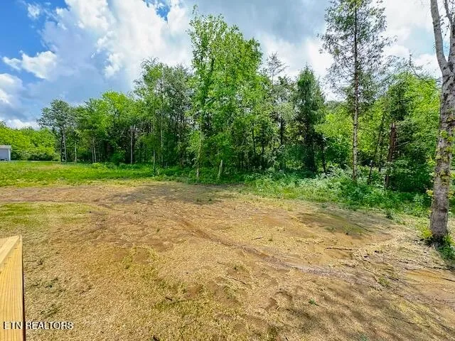 a view of a field with trees in the background
