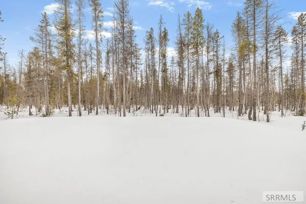 $845,000 | 4062 Steelhead Road, Island Park, ID 83429