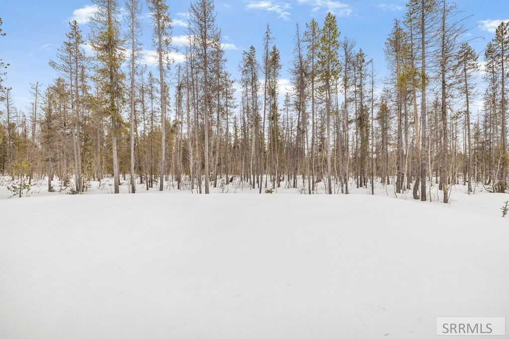 4062 Steelhead Road Island Park, ID 83429 - Photo 48 of 61 Backyard